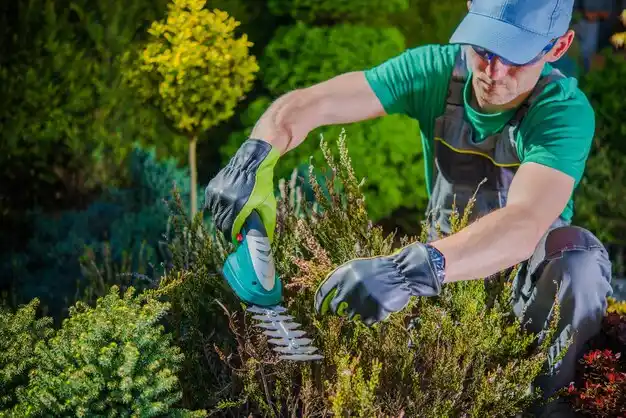 landscaping services Orient